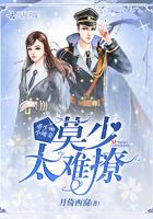 月光已涼在線閱讀封面