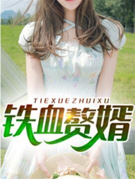 鐵血贅婿封面
