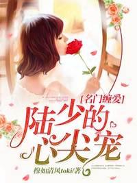 陸仰止唐言蹊封面