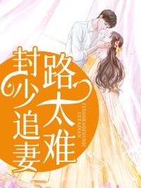 封少追妻路太難封面