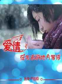 冷王爆寵醫(yī)妃傾天下封面