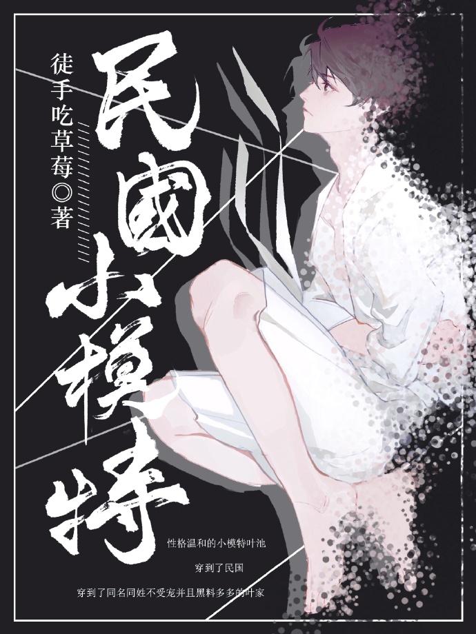 傳奇佳人穆小小結(jié)局封面