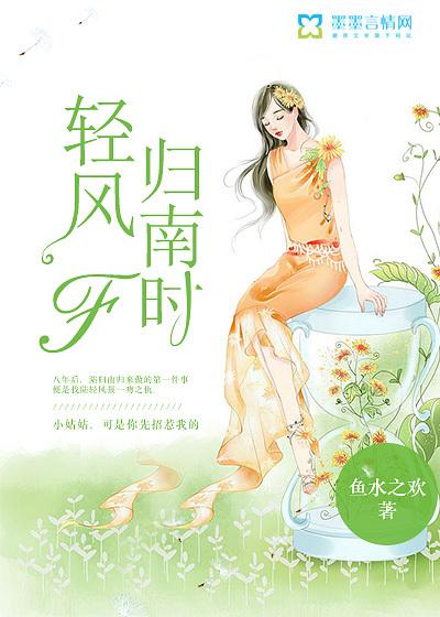 輕風(fēng)歸南時封面