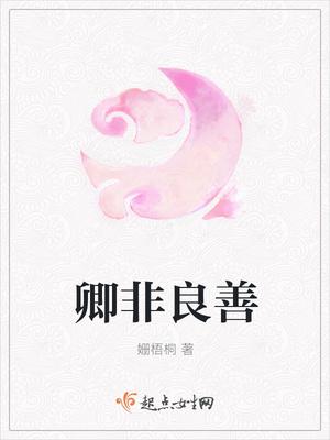 最后的臥底封面