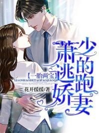 一胎兩寶：蕭少的逃跑嬌妻封面