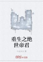 日記后遺癥小說(shuō)封面