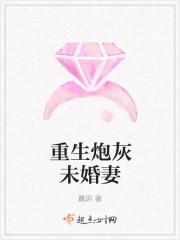 沈從安葉清清全文免費(fèi)閱讀封面