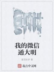 夏沉舟沐新月最新章節(jié)列表封面