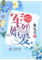 季安寧楚辰小說封面