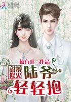 虛偽馬甲張紫馨張娟封面