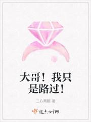 權(quán)力場間的博弈：玩火市長封面