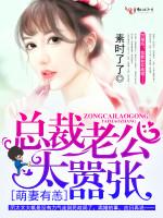 被控制的兔子,方準秦歲禾封面