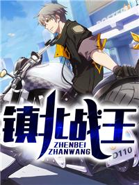 鎮(zhèn)北戰(zhàn)王封面