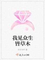 傅衍之宋時微封面