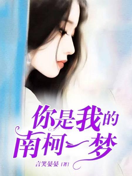 你是我的南柯一夢封面