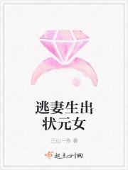 倒垃圾惹禍小說封面