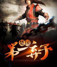 楚贏容妃小說封面