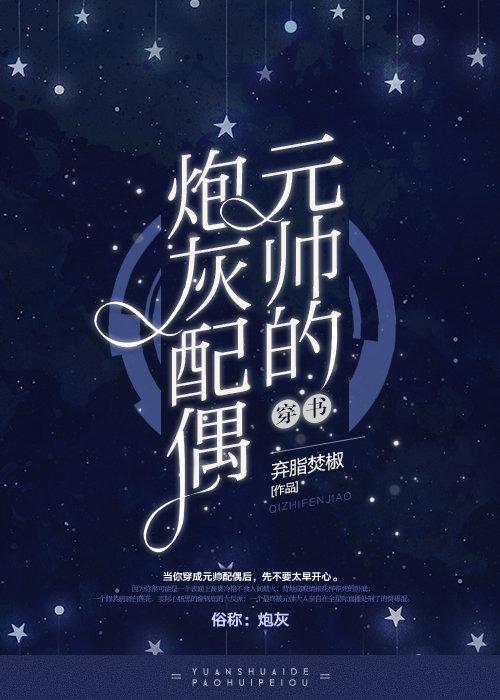 桑洛岑懷衍的小說(shuō)封面