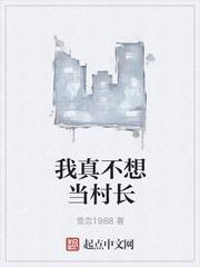 半夜進(jìn)賊朱珠封面