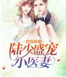 替嫁暖婚陸少盛寵小醫(yī)妻小說封面