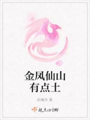 夏筱筱邵正飛小說叫什么封面