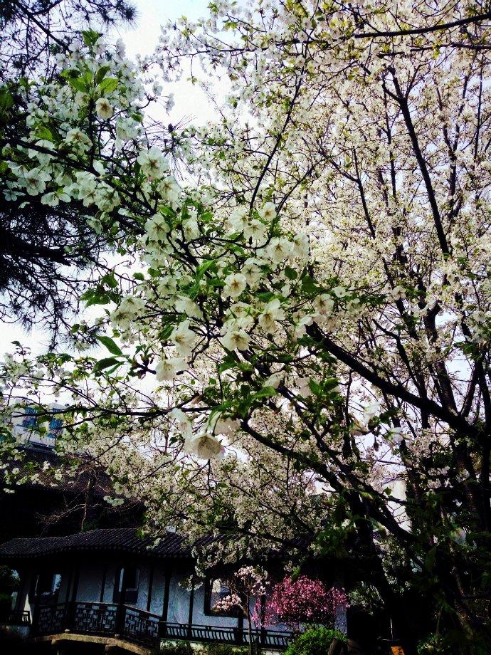 總有人是你的救贖小說在線閱讀封面