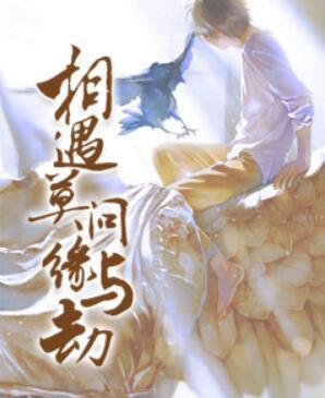 顧洛伊龍司碩封面