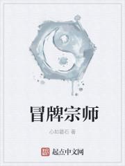 眼底的擔(dān)憂小說封面