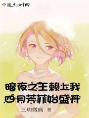 太子總管是女人封面