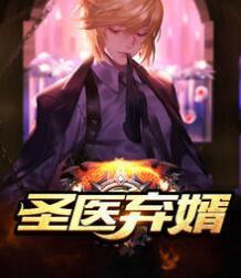 圣醫(yī)棄婿封面