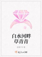 蘇妙妙陸南亭小說封面