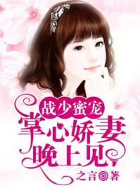 沈書桓唐婉晴封面