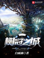 反擊村姑小說封面