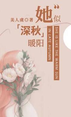 蘇云暖陸堯深封面