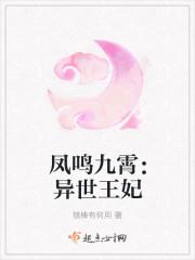 蘇安寧季衍小說名字封面