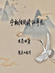 顧云廷宋南薇,封面