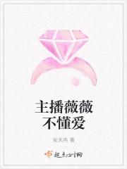 江照蘇安小說封面