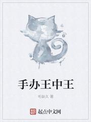 手辦王中王封面