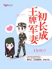 冷淡的反擊封面