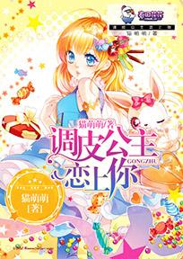 調(diào)皮公主戀上你封面