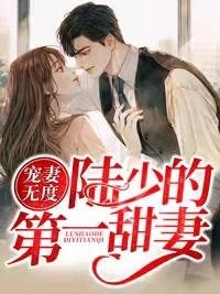 陸少的第一甜妻封面
