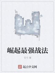 南有喬木不可休思封面