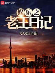 夢碎極光小說全文免費閱讀封面