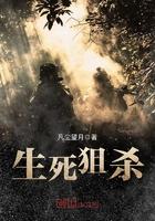 抗戰(zhàn)之野狼突擊隊(duì)封面