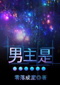 蘇晚夏沈斯言小說免費(fèi)閱讀封面