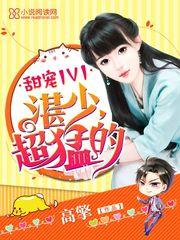 限時(shí)偏愛霍司硯溫知羽封面