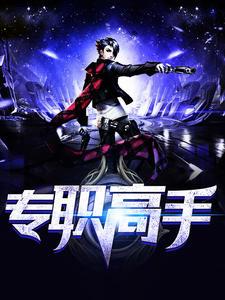 專(zhuān)職高手封面