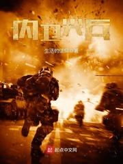 內(nèi)衛(wèi)尖兵封面