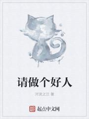 葉清清沈從安何若曦的小說叫什么封面