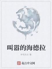 沈從安葉清清何若曦的小說叫什么封面